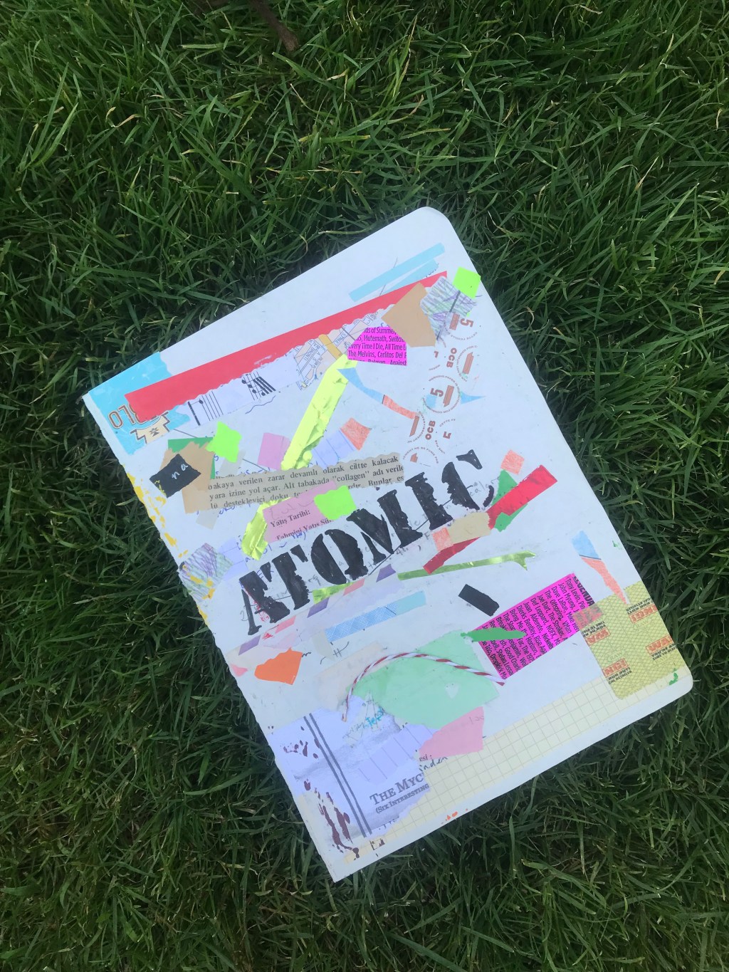 Painter of the&nbsp;Voice